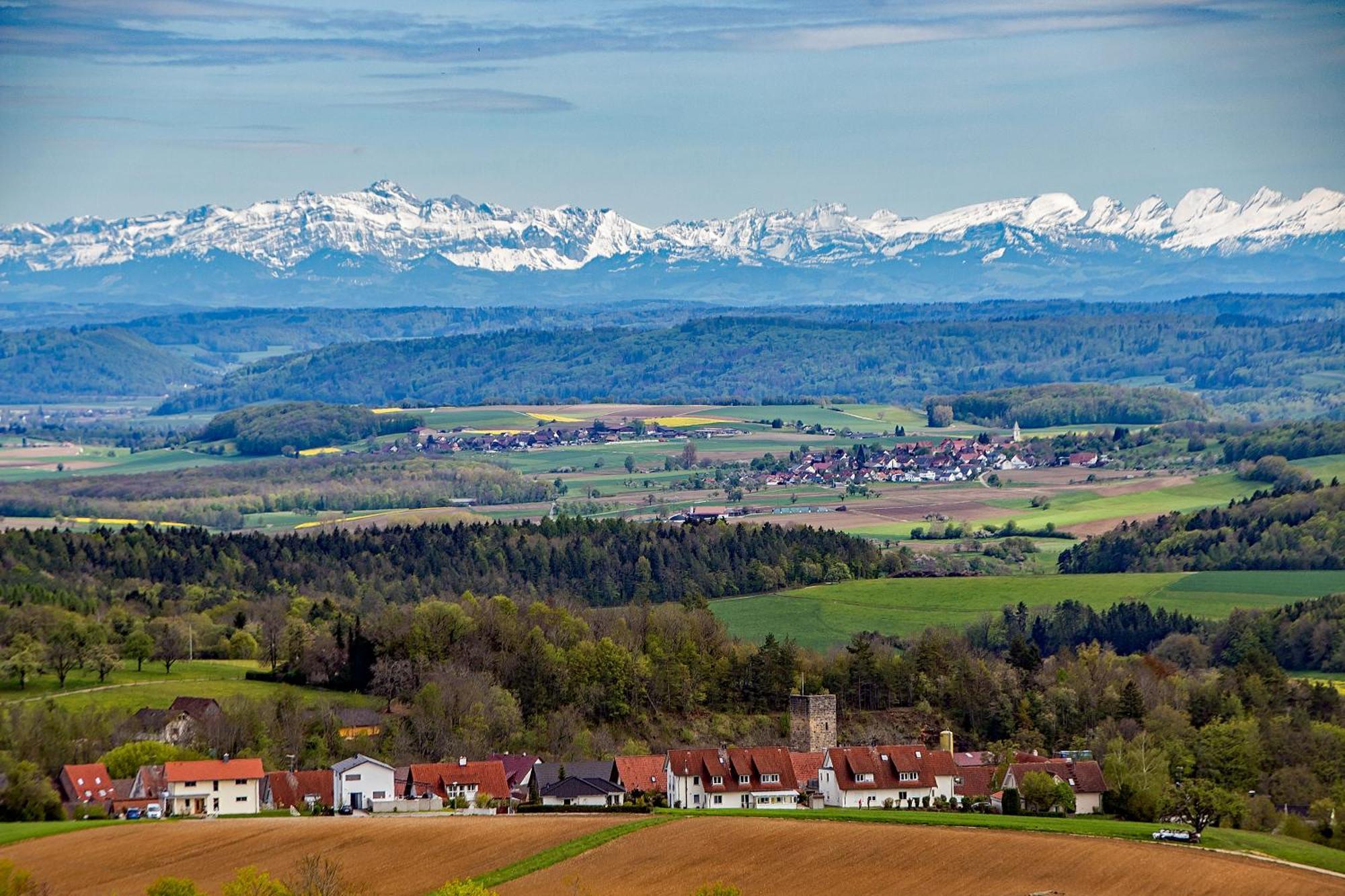 Landgasthof Schuetzen Tengen Extérieur photo